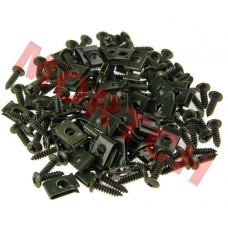 Body Clip and Screw Set 4.2*16