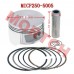 CF250 Water Cooled Piston Assy