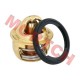 CF250 CH250 Thermostat