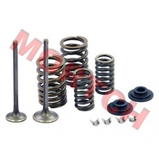 YP100 Inlet/Exhaust Valve Sets