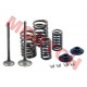 YP100 Inlet/Exhaust Valve Sets
