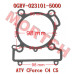 Cylinder Body Gasket - Model MICF0GRV-023101-5000 CFMoto Cylinder Body Gasket 0GRV-023101-5000 | CForce C4/C5 & GOES TERROX