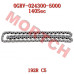 192R Timing Chain Assy - Model MICF0GRV-024300-5000 CFMoto Timing Chain Assy 0GRV-024300-5000 | CForce C5 & GOES TERROX
