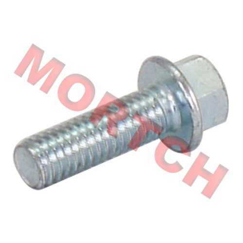 Bolts M6 22mm