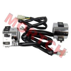 Big Turtle Killing Switch