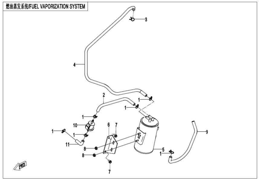 FUEL EVAPORATION SYSTEM CF800-3-F36