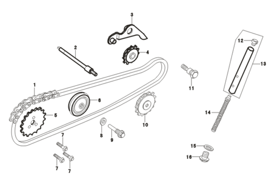 CAM CHAIN/TENSIONER