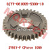 High Range Driven Gear - Model MICF0JYV-061005-5300-10