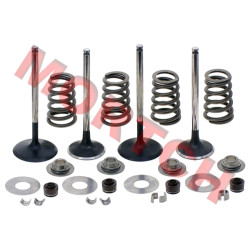 Intake & Exhaust Valve Assy