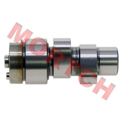Cylinder 2 Camshaft Assy