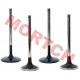 Intake & Exhaust Valve