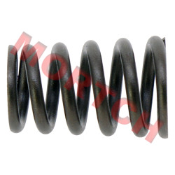 Valve Spring