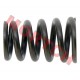Valve Spring