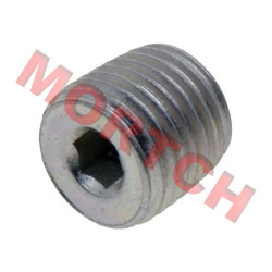 Screw Plug
