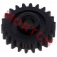 Water Pump Idle Gear