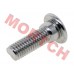 Screw for Brake Disc