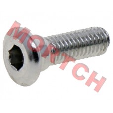 Screw for Brake Disc