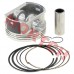 Piston Assy