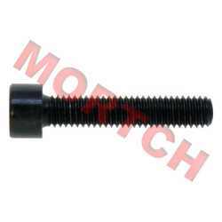 Inner Hex Screw M6x30 Inner Hex Screw M6x30