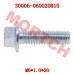 Bolt M6*1.0*20