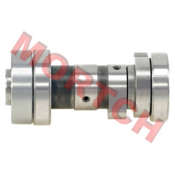 Camshaft Assy - Model MICFL-140020004-0001