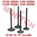 Inlet/Exhaust Valve
