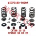Valve Spring set