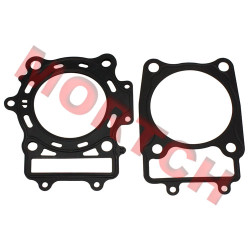 Cylinder Gasket