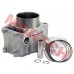 Cylinder Assy