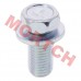 Bolt M10x1.25x22