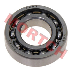 Bearing 6003
