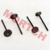 Inlet/Exhaust Valve