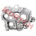 Left Crankcase