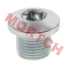 Magnetic Oil Drain Bolt M14X1.25X12