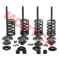Inlet/Exhaust Valve Assy