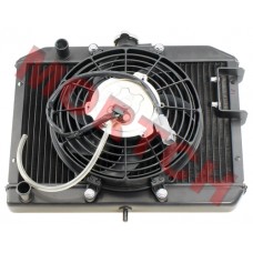 Radiator Assy