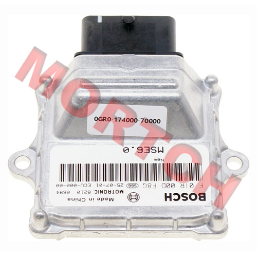 ECU - Model MICF0GR0-174000-70000