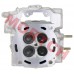 Cylinder Head & Cover Assy