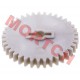 Oil Pump Solid Gear