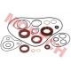 Oil Seal & O-Seal Ring Kit, Engine