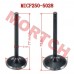 CF250 Inlet/Exhaust Valve
