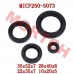 CF250 CH250 Full Set of Oil Seal