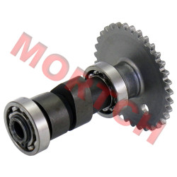 CF250 Camshaft