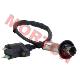 CF250 Ignition Coil