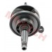 CF250 Crankshaft Assy
