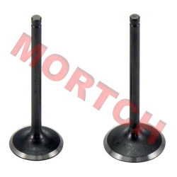 CF250 Inlet/Exhaust Valve