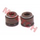 CF250 Oil Seal for Valve