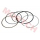 CF250 Water Cooled Piston Ring