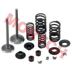 CF250 Inlet/Exhaust Valve Sets