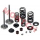 CF250 Inlet/Exhaust Valve Sets